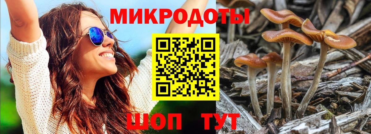Галлюциногенные грибы ЛСД Муром