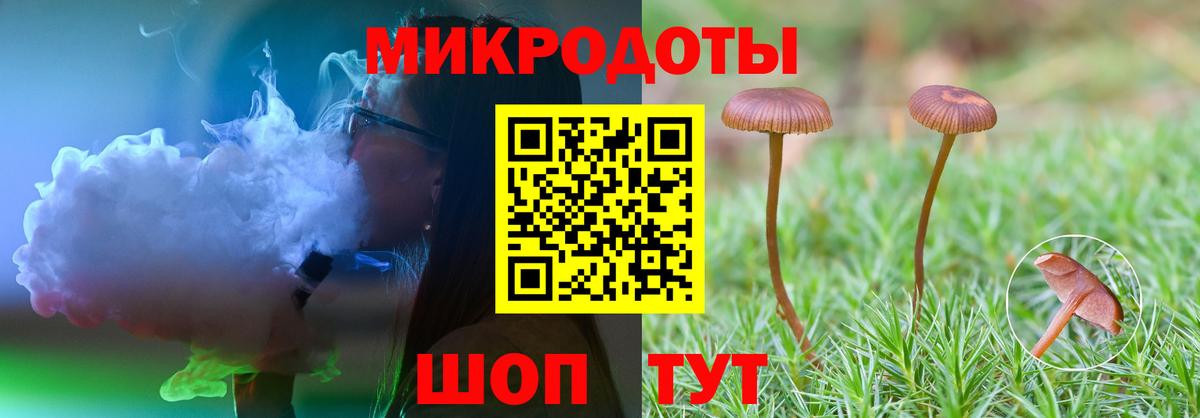 Муром  Галлюциногенные грибы Psilocybine cubensis  Галлюциногенные грибы мухоморы  Вход с VPN 